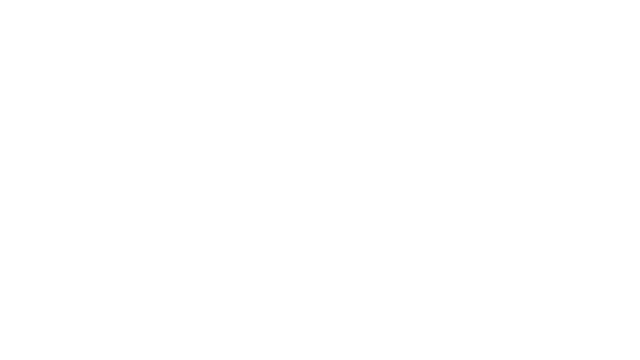 Steady Horse